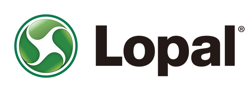 Lopal Tech 龙蟠科技